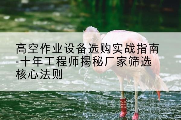 嘉禾剪叉式升降机厂家-高空作业设备选购实战指南-十年工程师揭秘厂家筛选核心法则