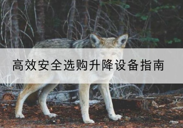 嘉禾升降货梯厂家推荐-*安全选购升降设备指南
