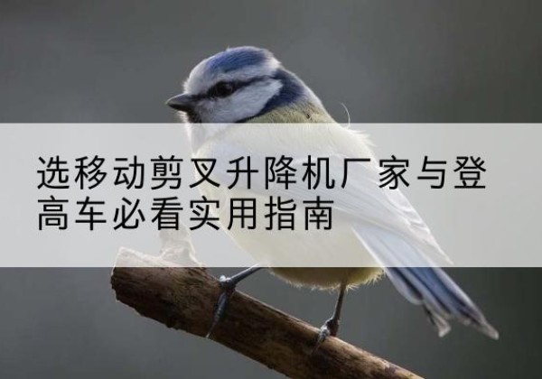 嘉禾电动升降机厂家-选移动剪叉升降机厂家与登高车必看实用指南