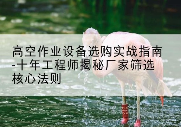 嘉禾剪叉式升降机厂家-高空作业设备选购实战指南-十年工程师揭秘厂家筛选核心法则